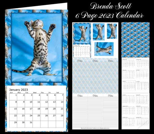 Kitten Reaching for the Sky 2023 Calendar