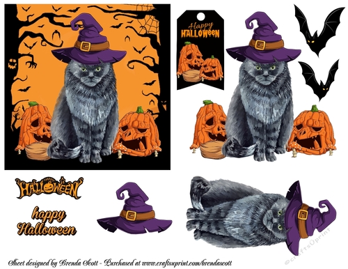 Trick or Treat to this Cuteness 1
