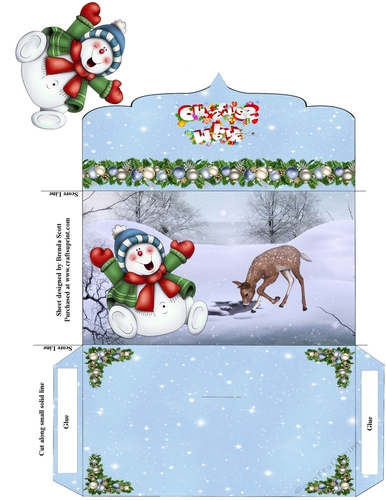 Care Free Money Wallet or Gift Card Holder