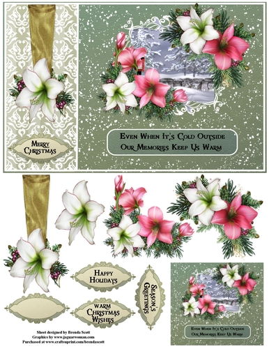 Vintage Holiday Amaryllis