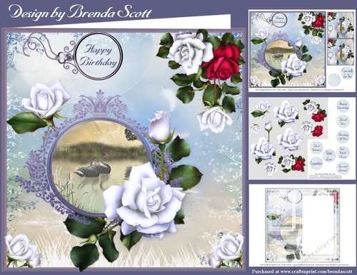 Beautiful White and Red Roses 2
