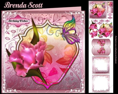 Pink Flowers and Butterfly