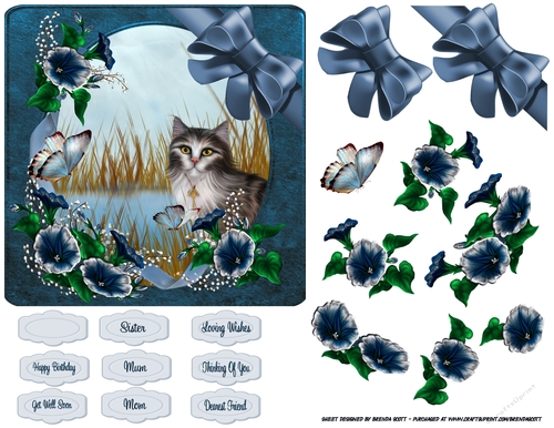 Sweet cat with wrap around blue flowers