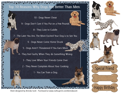 Top 10 Reasons Why Dogs Are Better Than Men