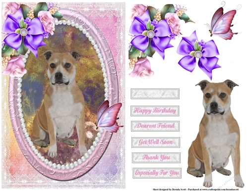Staffordshire Bull Terrier