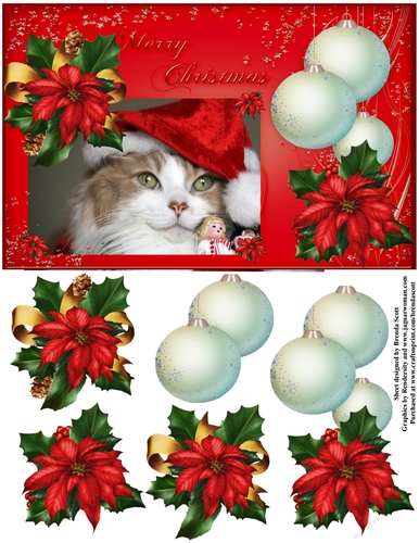 Cute Kittie Wearing Santas Hat