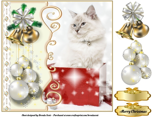 Cat ina Christmas Box