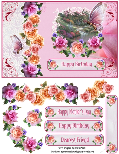  Roses and Butterflies on a Summers Day