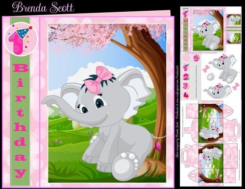 Baby Elephant Girl
