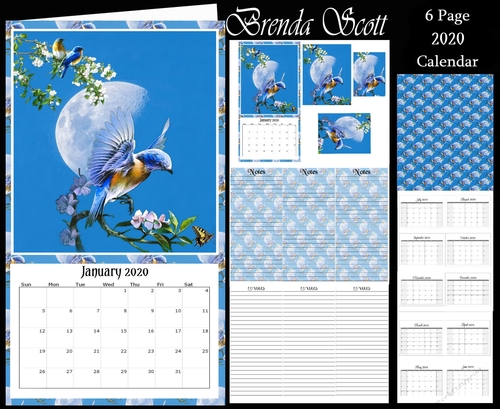 Blue Bird 2 - 2020 Calendar