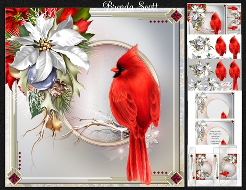 Christmas Cardinal