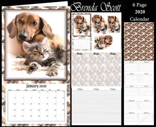 Loveable Cats and Dogs 2020 Calendar