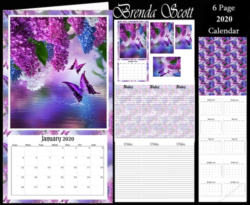 Flkowers and Butterflies 2020 Calendar