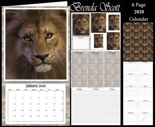 King of Cats 2020 Calendar