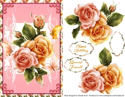 Pink and Yellow Roses