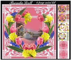 Beautiful Tulips