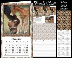Mom and Baby 2022 Calendar