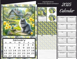 2025 Calendar Curious Cat