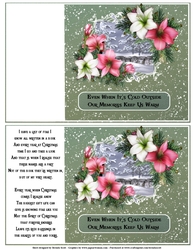 Vintage Holiday Amaryllis Inserts