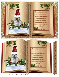 Whooo! Its Christmas
