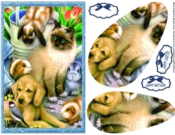 Our Furry Friends