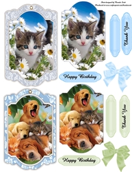 Our Furry Friends 3