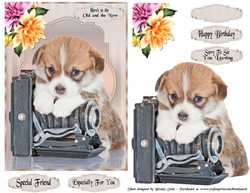 Welsh Corgi Puppy with an Old Camera