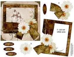 White Daisies