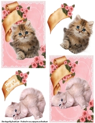 Precious Kitties