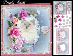 A Special Friend - Cat