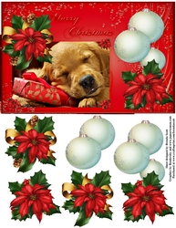 Waiting fot Santa