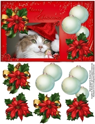 Cute Kittie Wearing Santas Hat