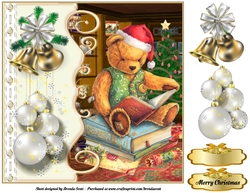 Bear Reading