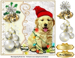 Dog Tangled in Lights