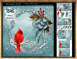 Cardinal