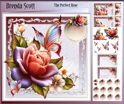 The Perfect Rose