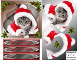 Santas Little Helper