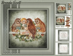 Wise Owls