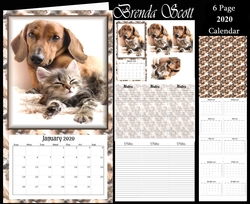 Loveable Cats and Dogs 2020 Calendar