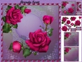 Roses Just For You