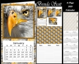 Eagle Head - 2021 Calendar