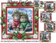 Winter Fun Cats