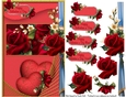 Valentines Roses