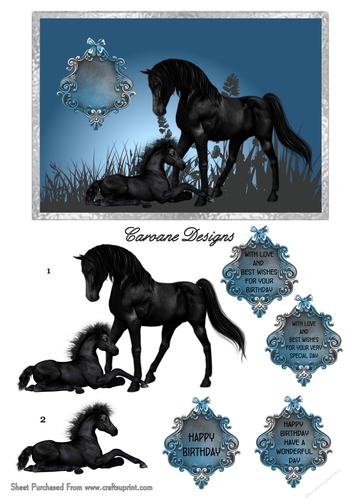 The Black Horse - 5x7 inch card front with decoupage  
