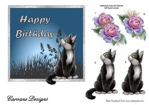 Ruperts Birthday Wishes - 6x6 inch card front with decoupage