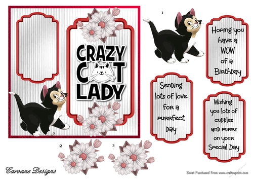 Crazy Cat Lady 1 - 6x6 inch card front with decoupage
