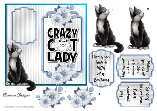 Crazy Cat Lady 3 - 6x6 inch card front with decoupage