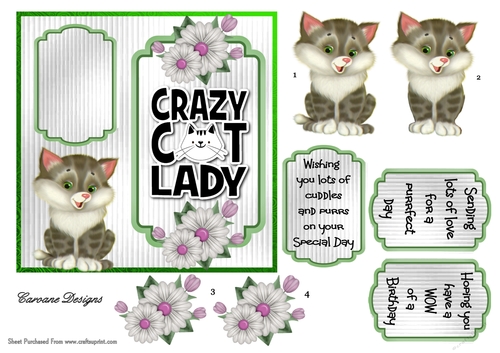 Crazy Cat Lady 4 - 6x6 inch card front with decoupage