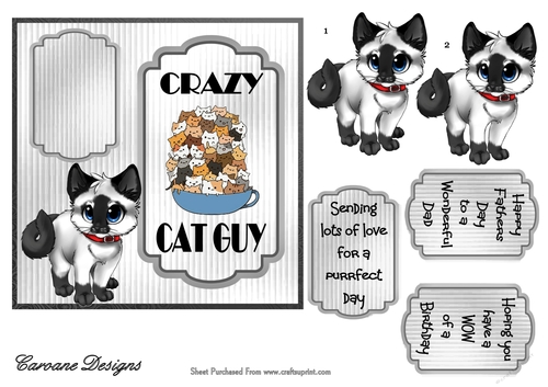 Crazy Cat Guy 2 - 6x6 inch card front with decoupage
