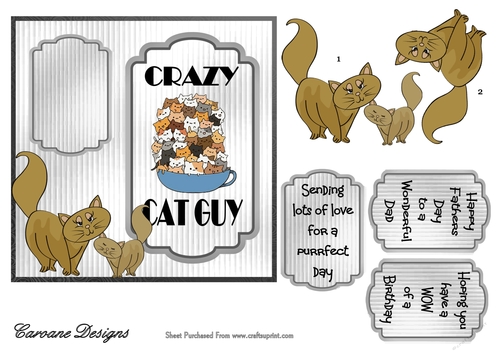 Crazy Cat Guy 3 - 6x6 inch card front with decoupage
